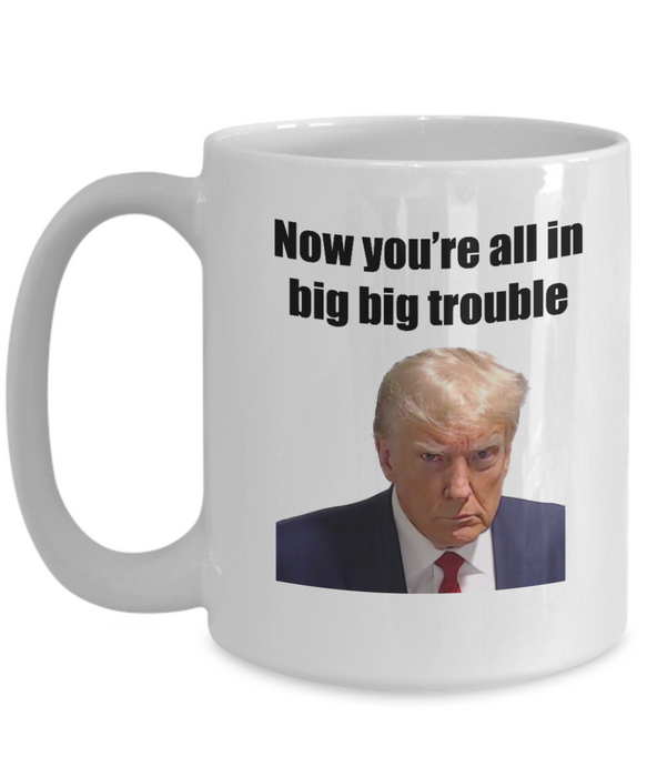 Trump Mug Shot, Mug Shot Coffee Mug, Funny Trump Gift, Trump 2024, Gift for Republican, Election Interference, Now You're All in Big Trouble