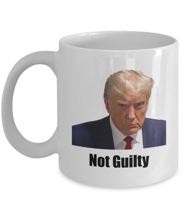 Trump Mug Shot, Mug Shot Coffee Mug, Funny Trump Gift, Trump 2024, Gift for Republican, Election Interference, Not Guilty