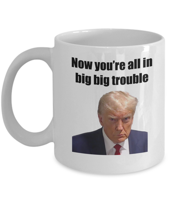 Trump Mug Shot, Mug Shot Coffee Mug, Funny Trump Gift, Trump 2024, Gift for Republican, Election Interference, Now You're All in Big Trouble