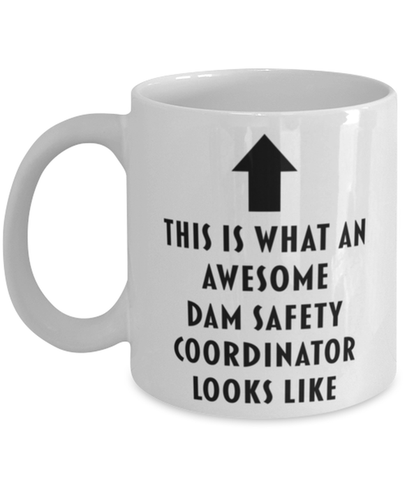 This is What an Awesome Dam Safety Coordinator Looks Like Coffee Mug, Funny, Cheap, Inappropriate, Gift for, Mug