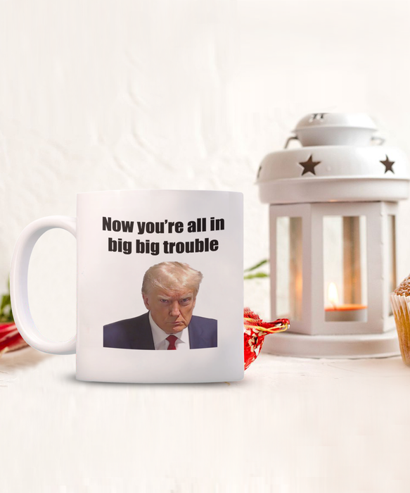 Trump Mug Shot, Mug Shot Coffee Mug, Funny Trump Gift, Trump 2024, Gift for Republican, Election Interference, Now You're All in Big Trouble