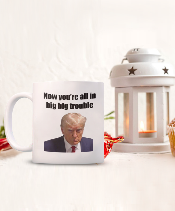 Trump Mug Shot, Mug Shot Coffee Mug, Funny Trump Gift, Trump 2024, Gift for Republican, Election Interference, Now You're All in Big Trouble