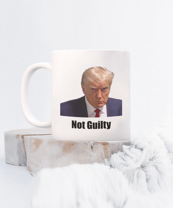 Trump Mug Shot, Mug Shot Coffee Mug, Funny Trump Gift, Trump 2024, Gift for Republican, Election Interference, Not Guilty