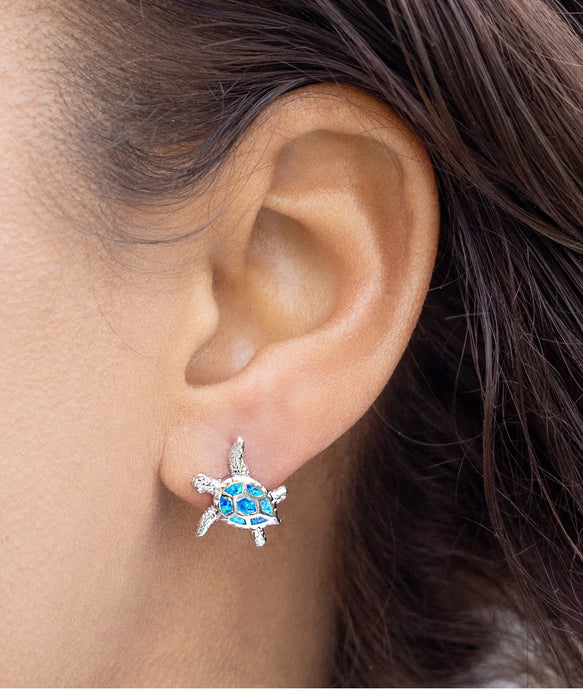To My Girlfriend, Wife, Girlfriend, Wife Jewelry, Happy Birthday, Inappropriate Smash that Ass, Turtle Earrings