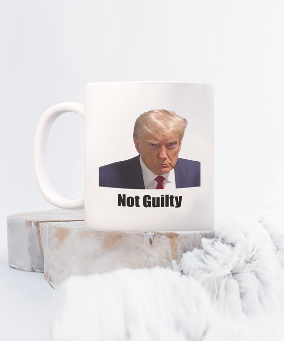 Trump Mug Shot, Mug Shot Coffee Mug, Funny Trump Gift, Trump 2024, Gift for Republican, Election Interference, Not Guilty