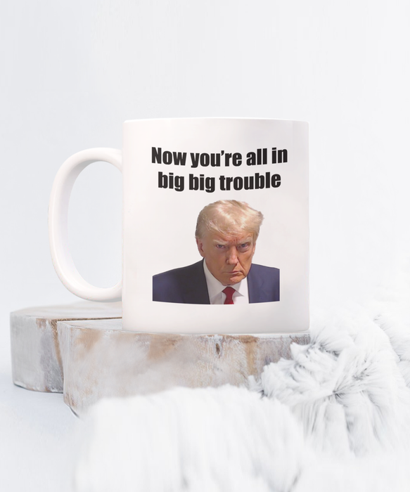 Trump Mug Shot, Mug Shot Coffee Mug, Funny Trump Gift, Trump 2024, Gift for Republican, Election Interference, Now You're All in Big Trouble