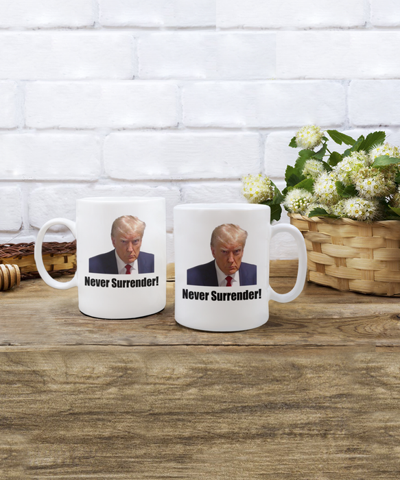 Trump Mug Shot, Mug Shot Coffee Mug, Funny Trump Gift, Trump 2024, Gift for Republican, Election Interference, Never Surrender