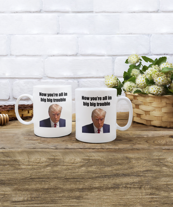 Trump Mug Shot, Mug Shot Coffee Mug, Funny Trump Gift, Trump 2024, Gift for Republican, Election Interference, Now You're All in Big Trouble